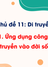 Bài 41. Ứng dụng công nghệ di truyền vào đời sống